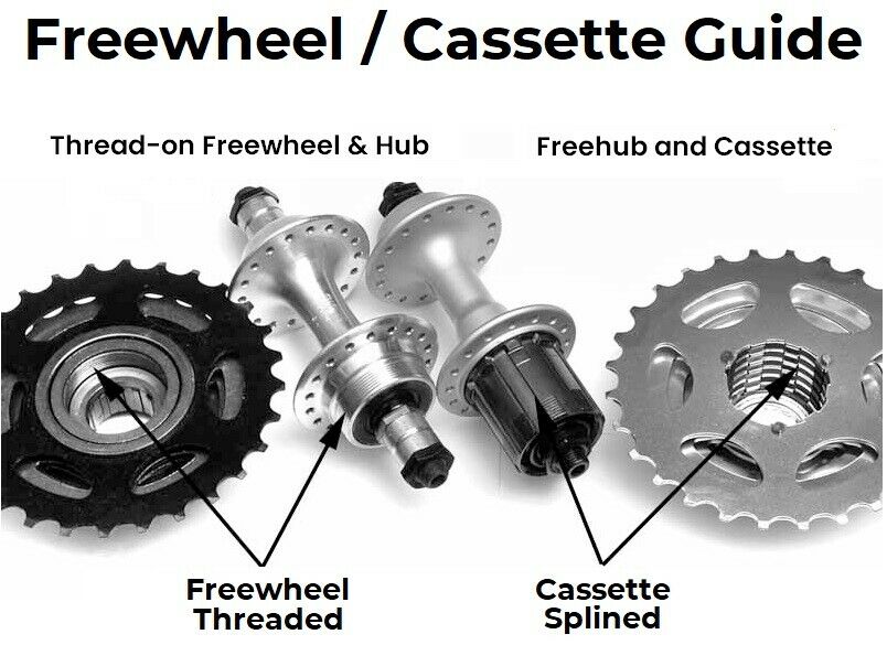 26-inch Singlewall DISC Freewheel Quick Release Rear Wheel - The Bikesmiths