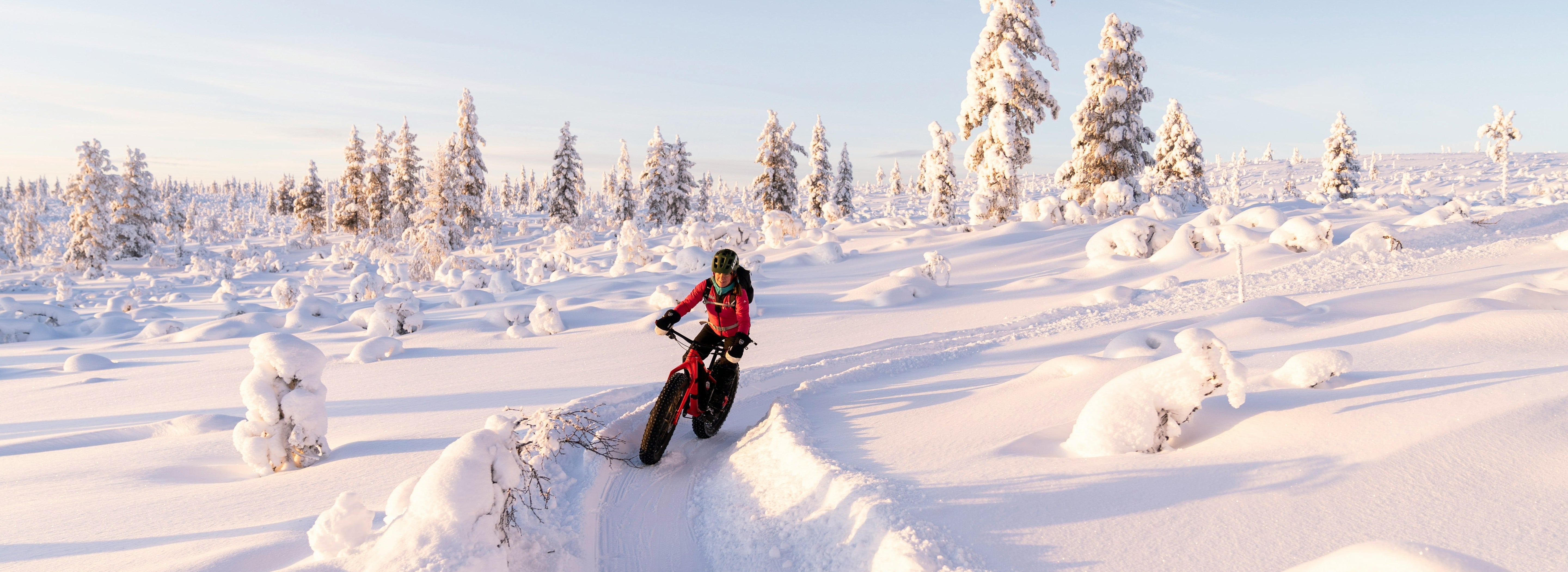 Biker in the snow as the homepage for 