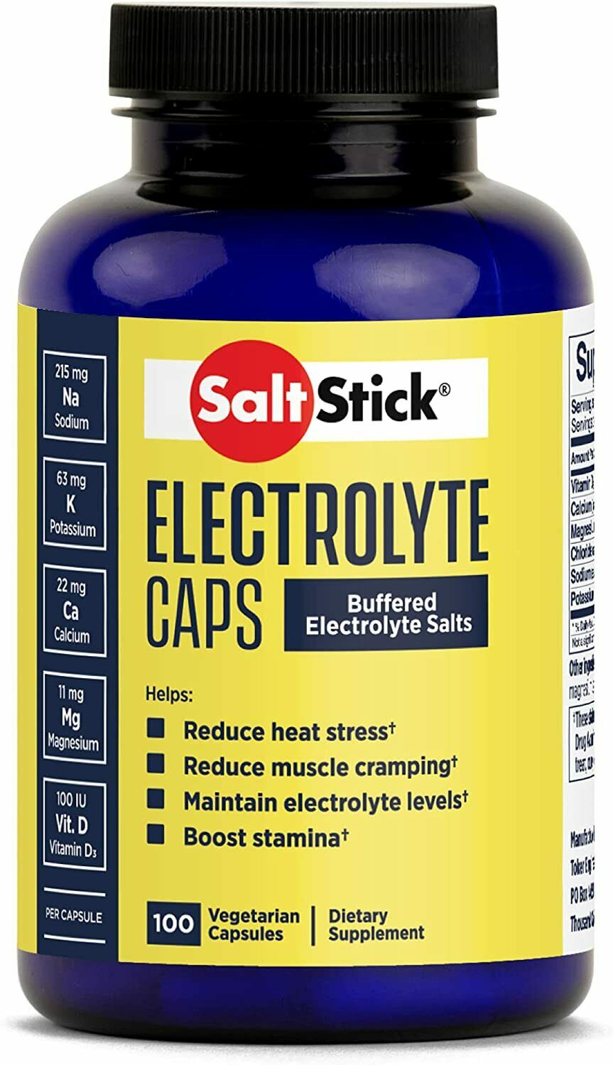 SaltStick Buffered Electrolyte Salt Replacement Capsules - The Bikesmiths